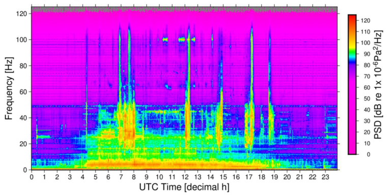 Soundscape spectrogram from Kiel harbour, showing frequency vs. time of day